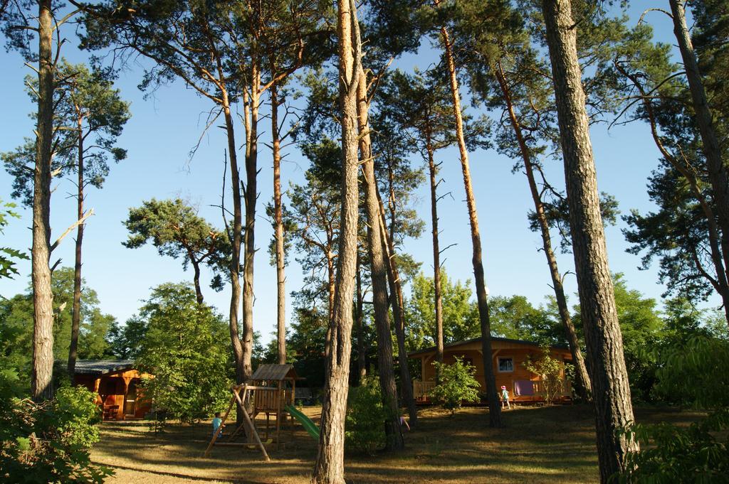 Dom Wczasowy Nadrzecze Bed and Breakfast Brok Buitenkant foto